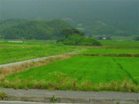 井原一号墳